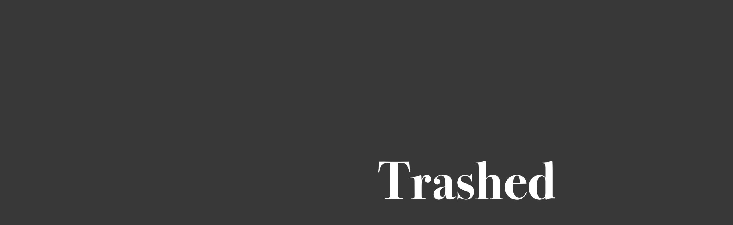 Opening of “Trashed”
